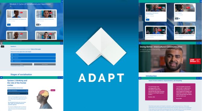 Adapt E-learning project image